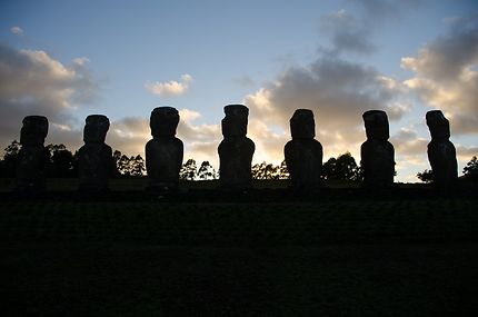 Rapanui 