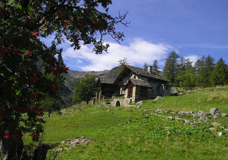 VILLAGE WALSER VILLAGE WALSER