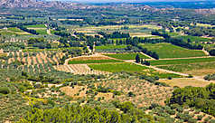 Les Alpilles, le go&ucirc;t de la Provence