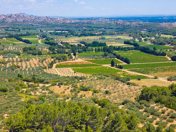 Les Alpilles, le goût de la Provence