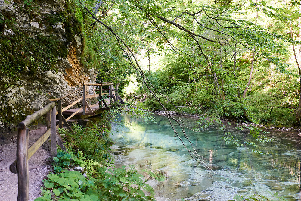 Trek dans la rivière d'émeraude