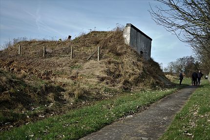 Petit musée Gougeau à Rhisnes