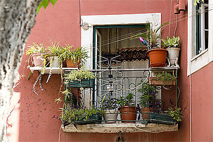 Lisbonne - Le jardin sur le balcon