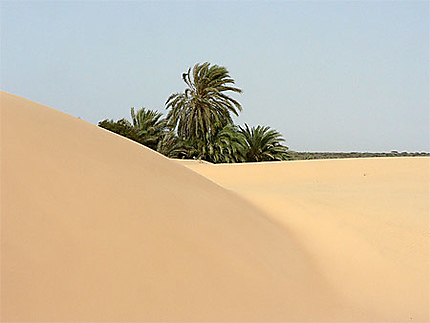 Désert mauritanien