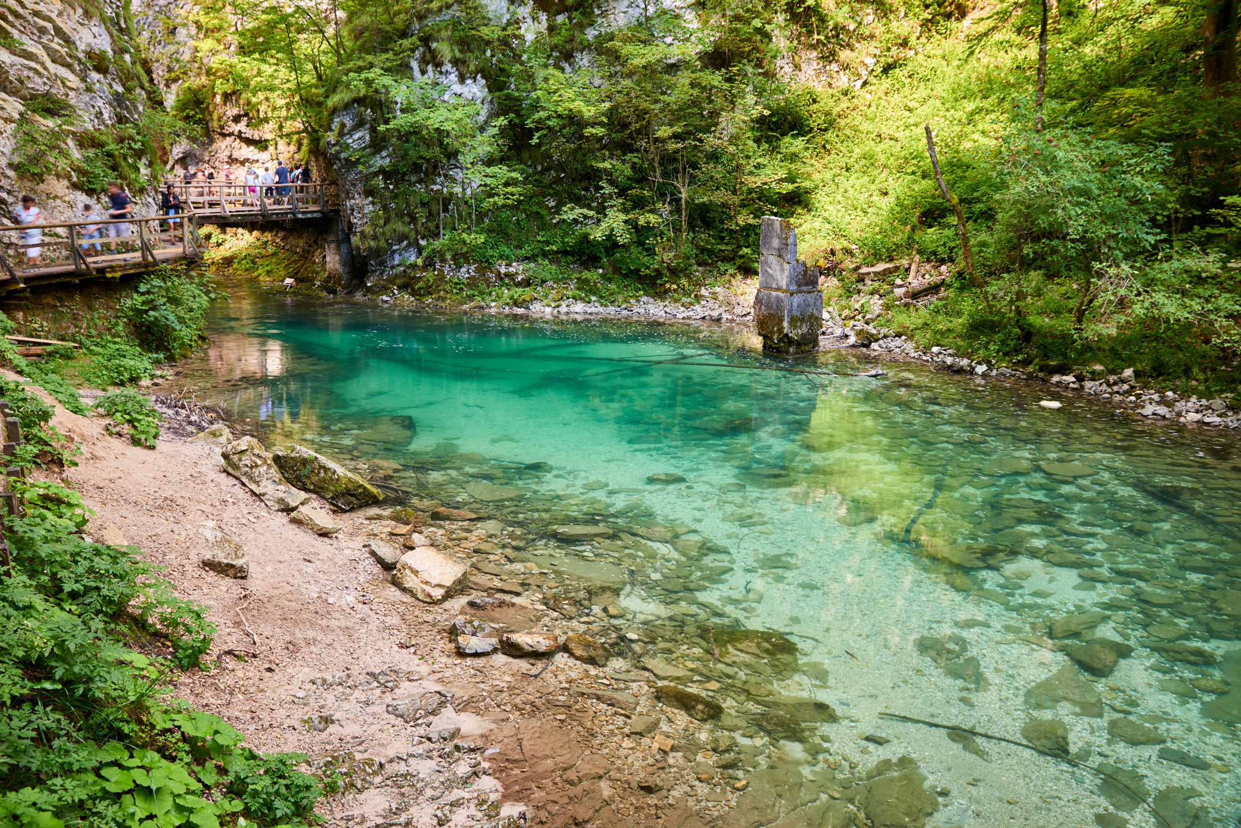 Trek dans la rivière d'émeraude Trek dans la rivière d'émeraude