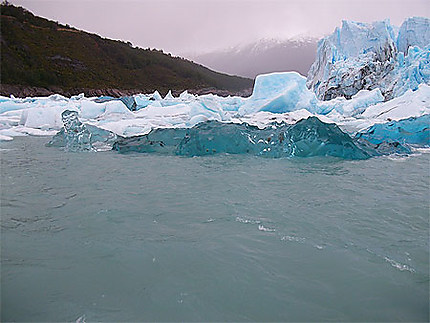 Perito Moreno face nord