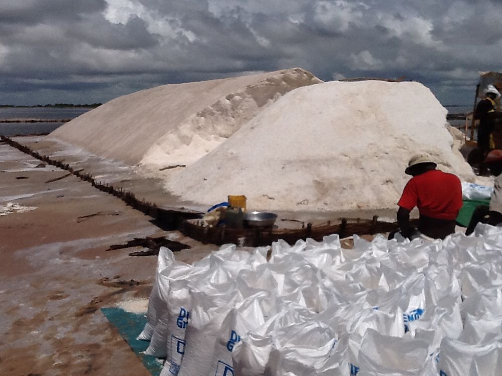 Salin du sine saloum