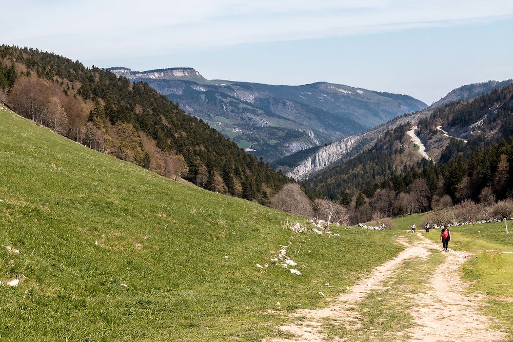 Lans-en-Vercors - Paysage du début de notre rando