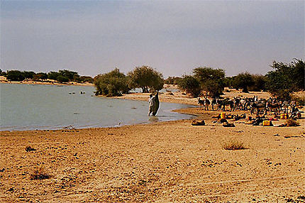Au bord du Niger