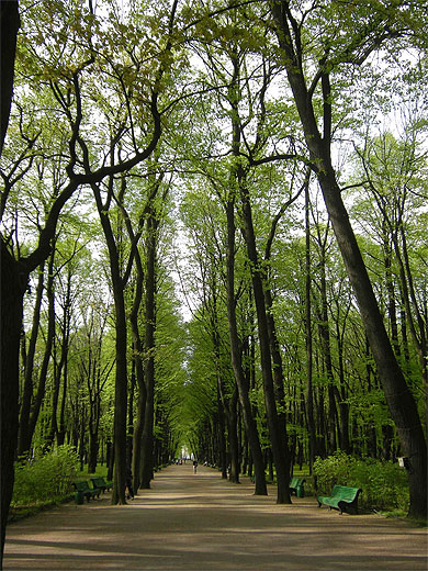 Jardin d'été Jardin d'été