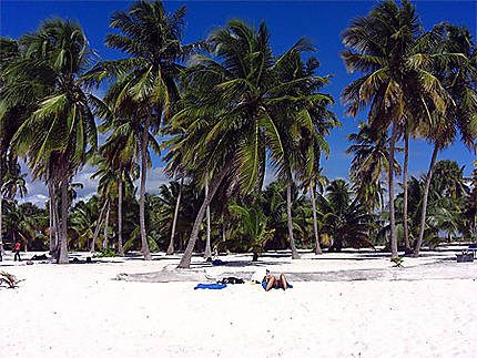Saona, plage déserte au bout de l'île...
