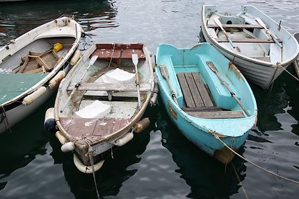 Barques dans le port de Camogli