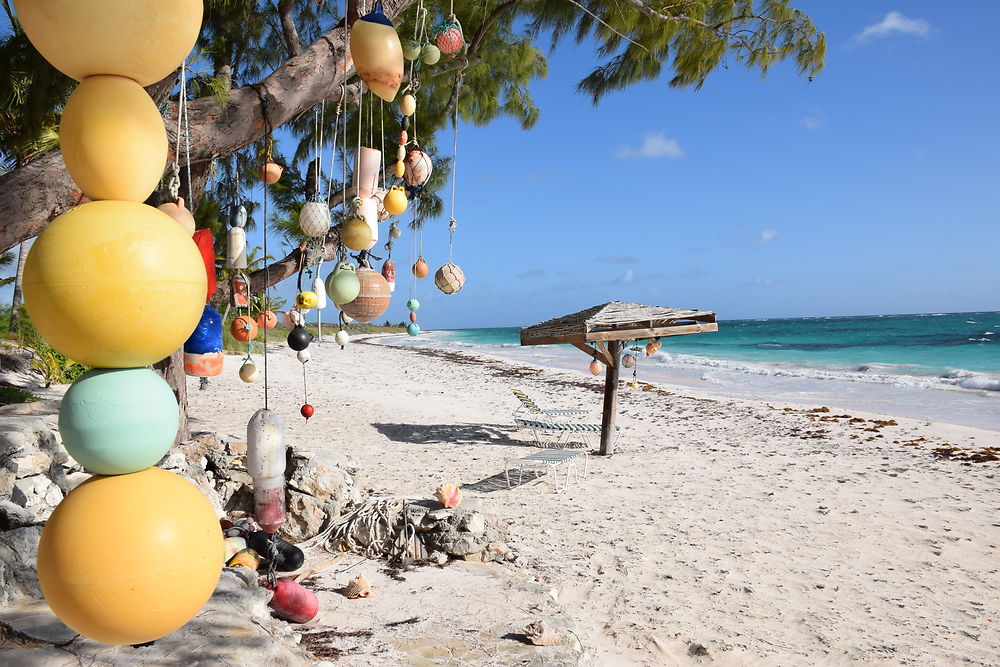 Plage de Cat Island