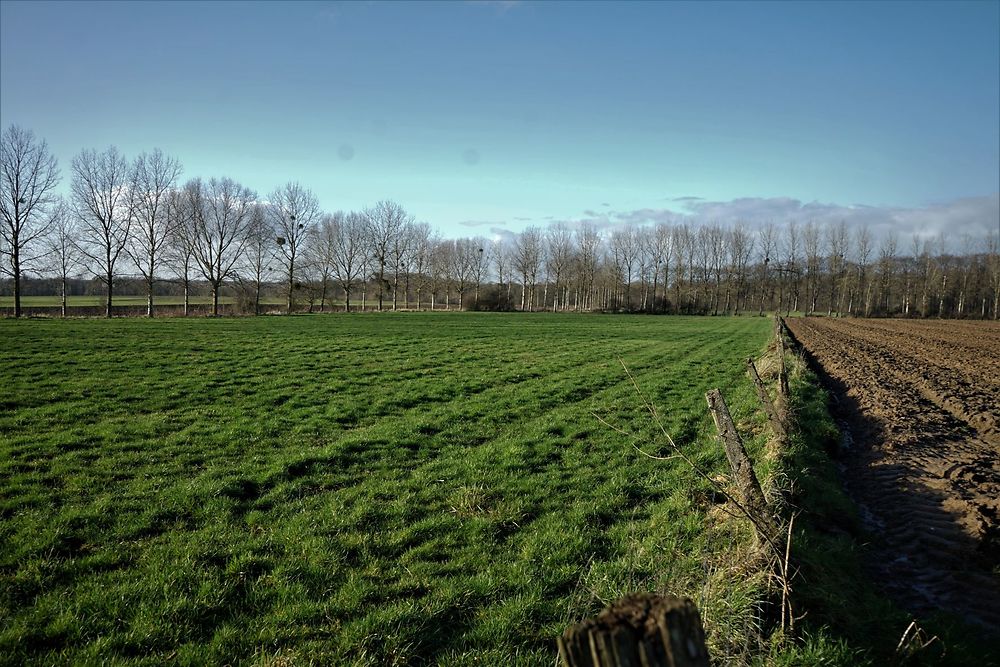 Balade buccolique aux Isnes