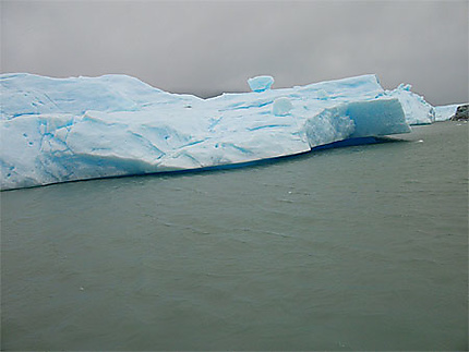 Iceberg sur le lago argentino