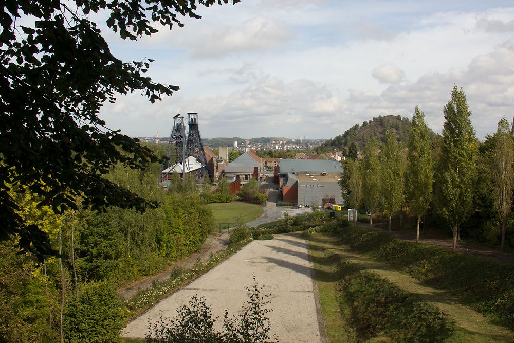 Mine Bois du cazier à Marcinelle