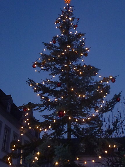 Sapin de Noël  (Trier)