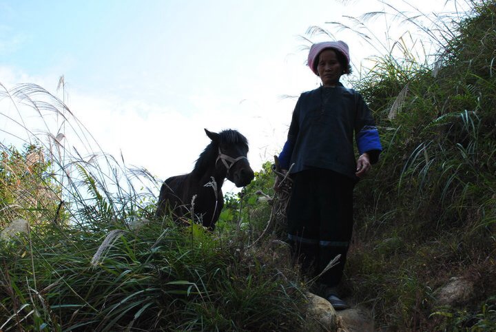 Longsheng Longsheng