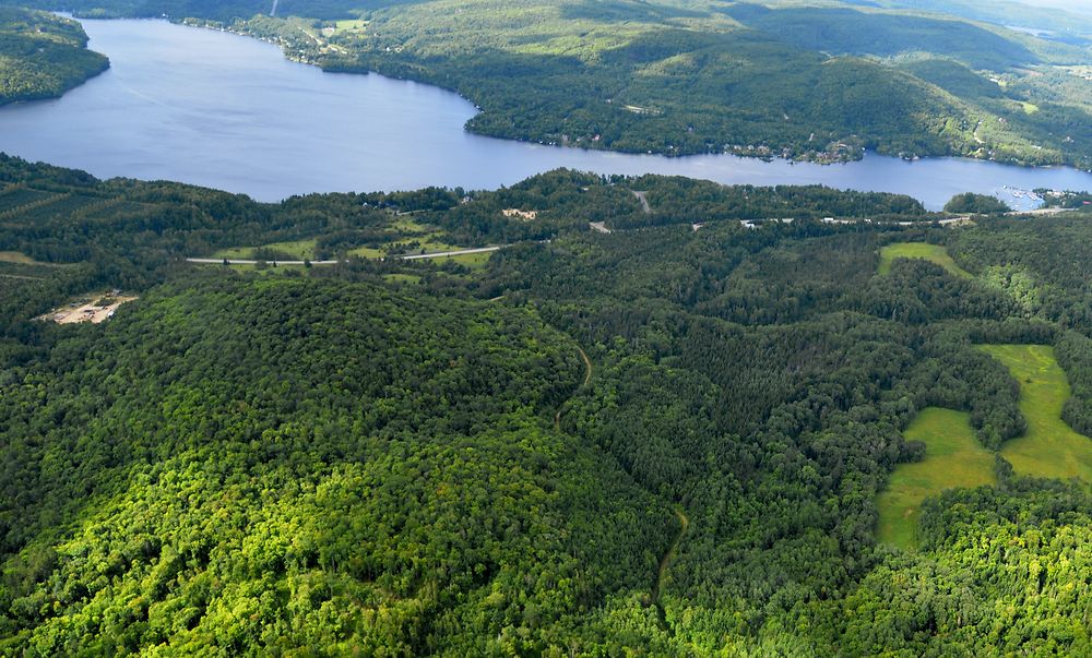 Lac de la tortue 