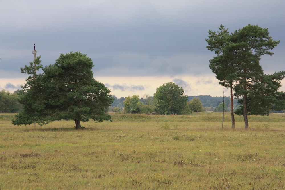 Lumière de fin d'été en Estonie, Île de Saaremaa