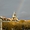 Arc en ciel à La Rochelle