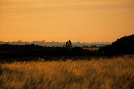 Aeroe, vélos au coucher du soleil Aeroe, vélos au coucher du soleil