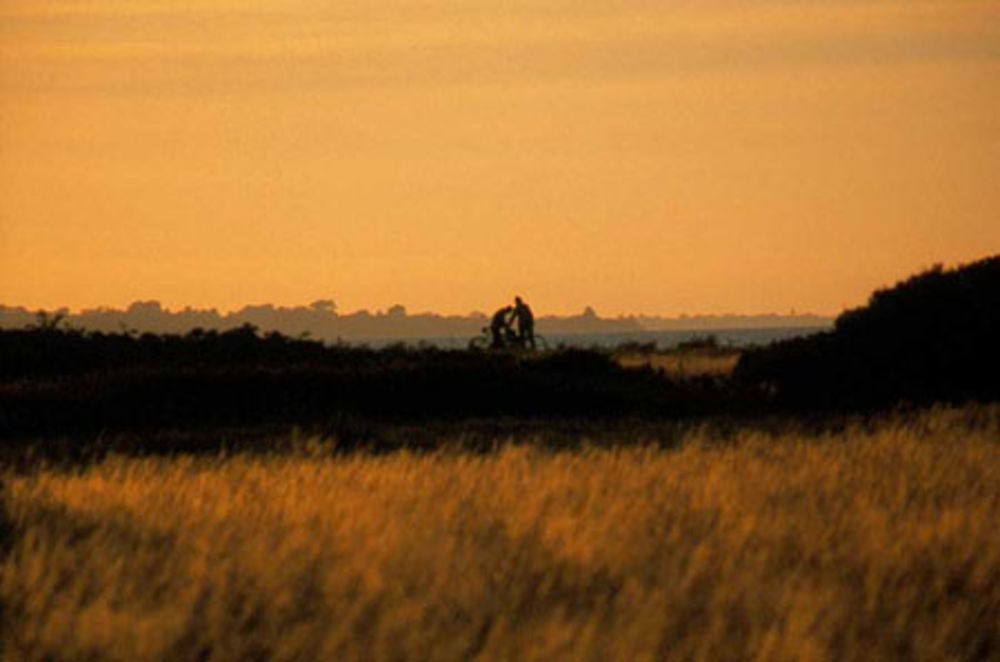 Aeroe, vélos au coucher du soleil