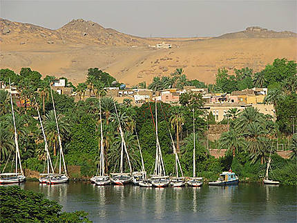 Le Nil de bon matin