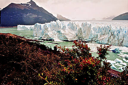 Une façade du glacier Perito Moreno