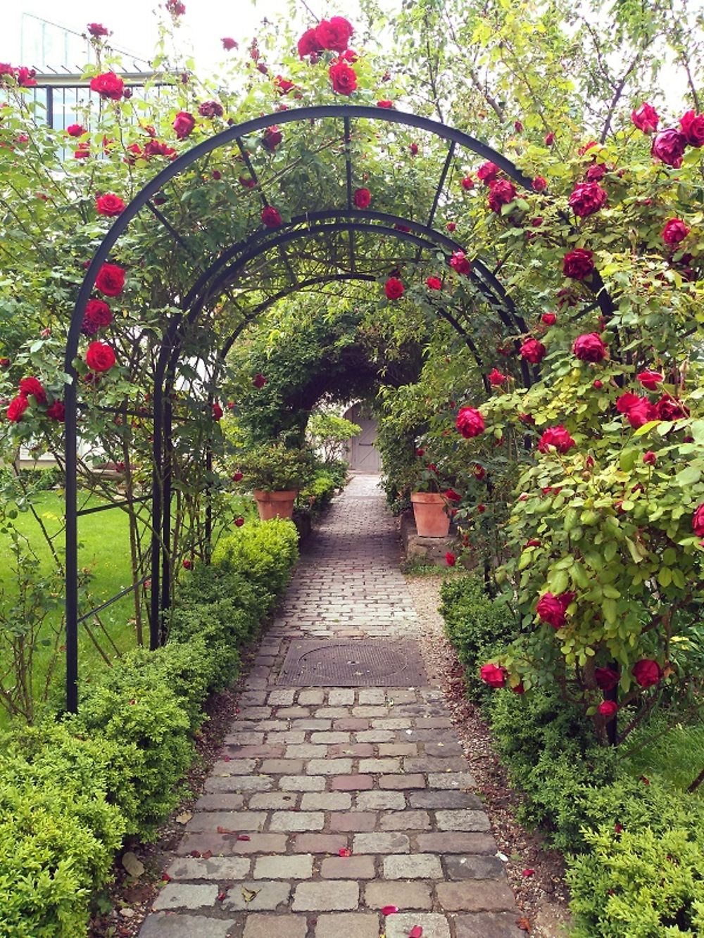 Roseraie du Jardin Renoir, Musée de Montmartre