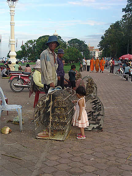 Enfance cambodgienne