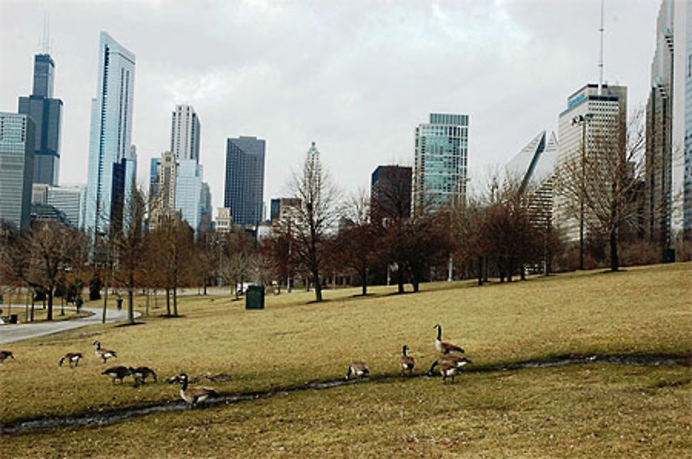 Grant Park