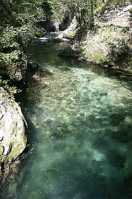 Gorges de Vintgar