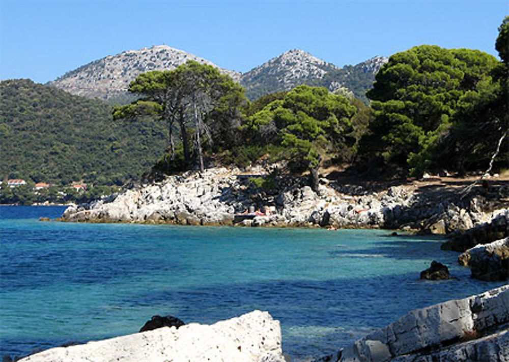 Baignade à l'ombre à Ubli