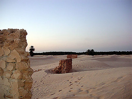 Ruines Dunes et Oasis
