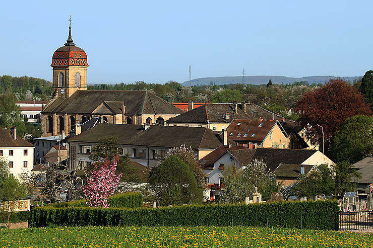 Le kirsch de Fougerolles (Haute-Saône)