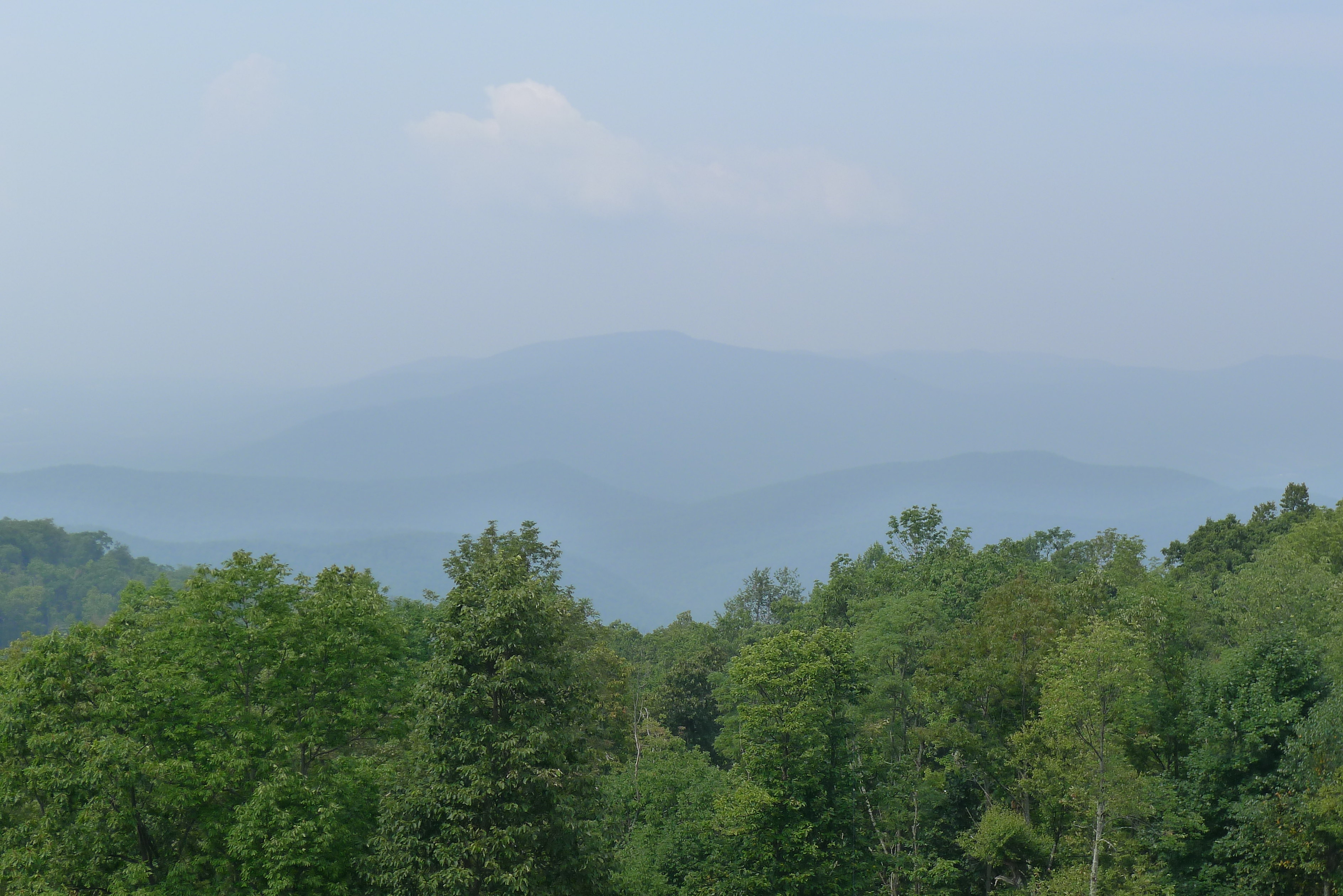 Shenandoah N.P. Shenandoah N.P.