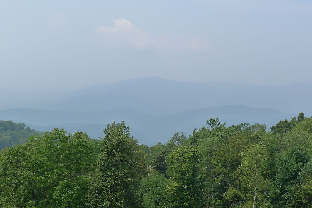 Shenandoah N.P.