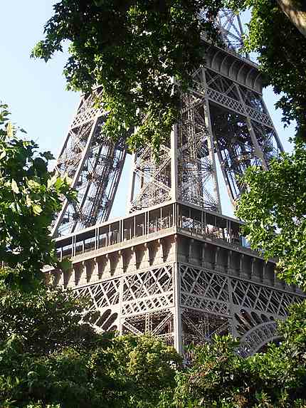 Tour Eiffel entre les arbres