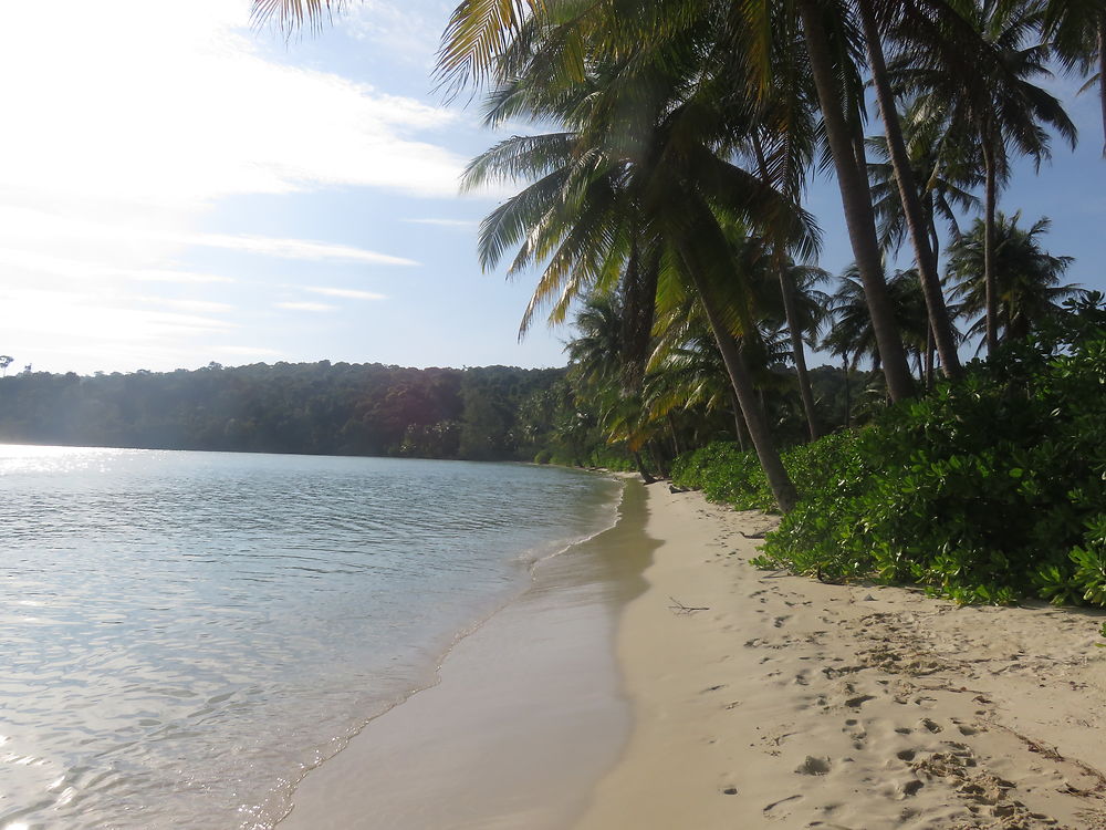 L'île des cocotiers du Cambodge