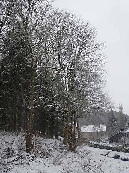 Neige à Trier