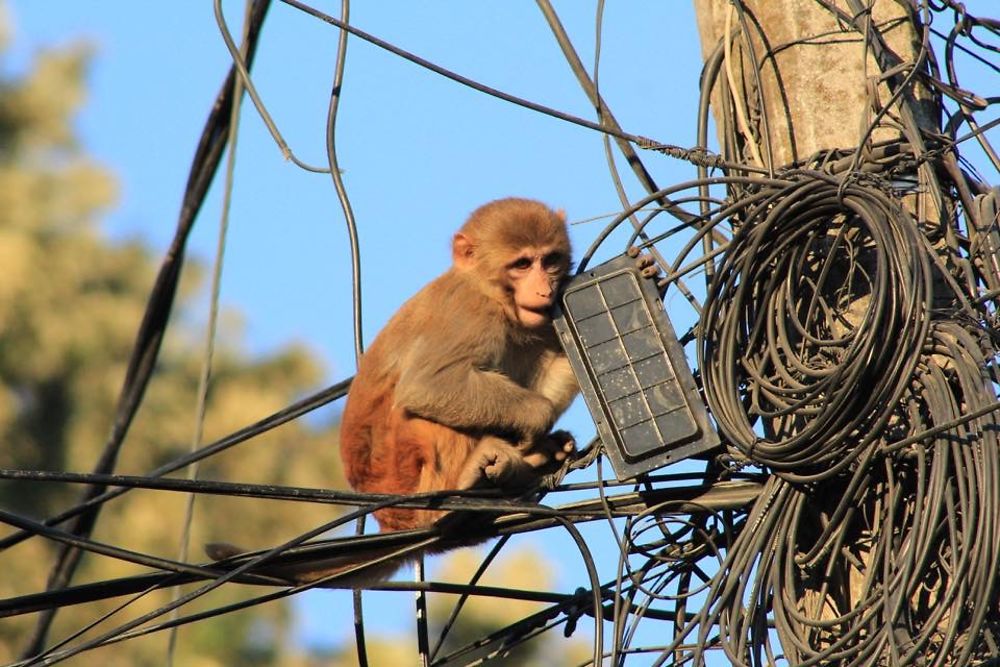 La nouvelle génération de techniciens Telecom