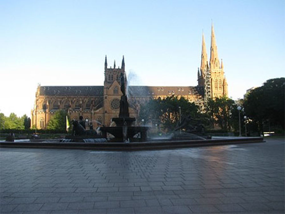 Sydney, la cathédrale