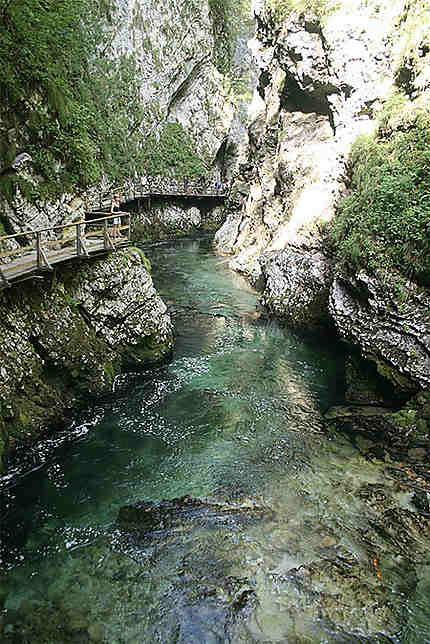 Magnifique Nature Gorges De Vintgar Bled Haute Carniole