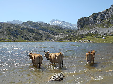 Lac d'Ercina