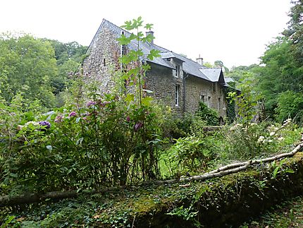 Maison nichée dans les bois 