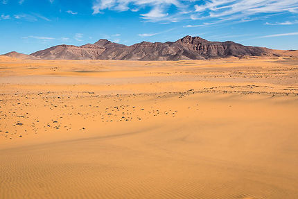 désert paysage