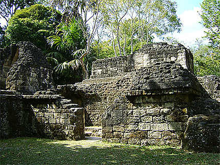 Charme de Tikal