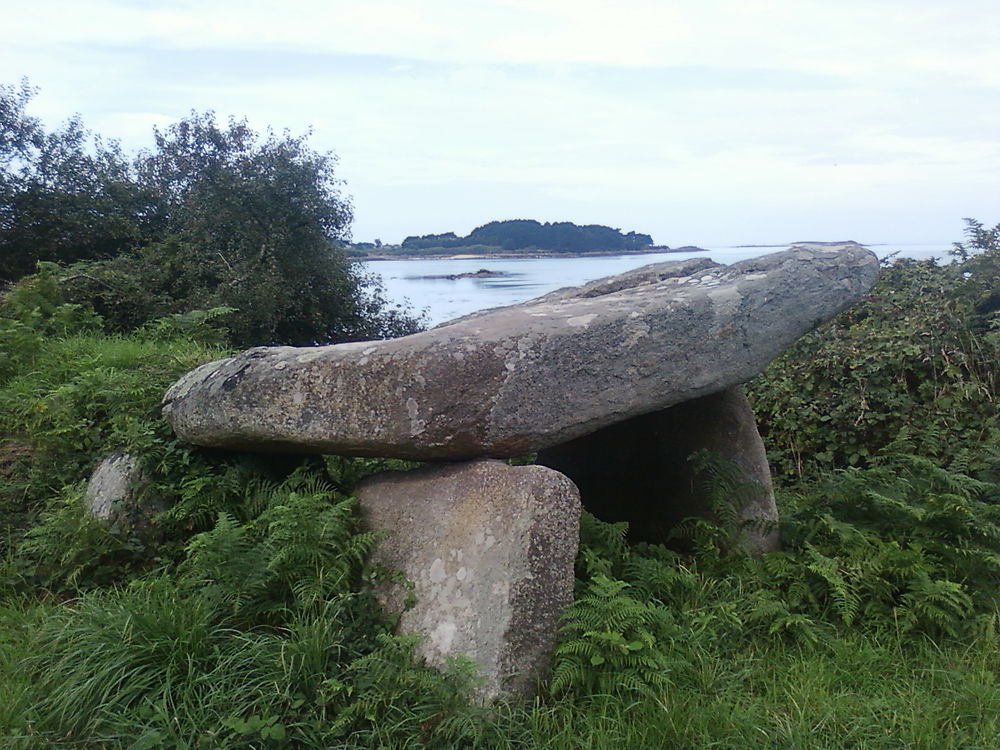 Allée couverte et plage