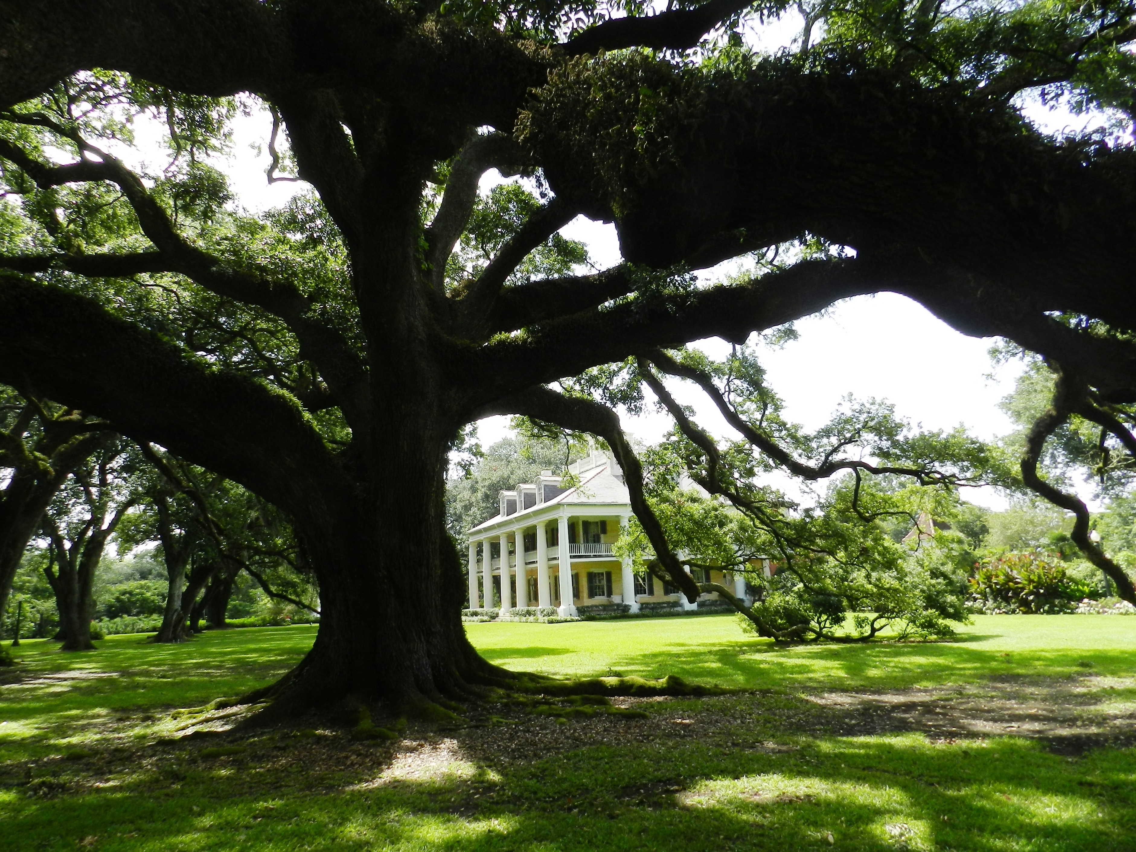 La plantation Houma La plantation Houma